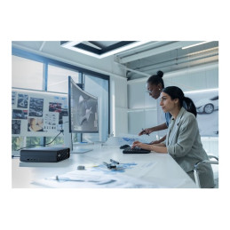 Mini 5U - 1 x Core Ultra 9 285 - jusqu'à 5.6 GHz - RAM 32 Go - SSD 1 To - NVMe - RTX 2000 Ada - Gig... (C67JJETABF)_13