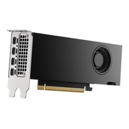 NVIDIA RTX 2000 Ada Generation - Carte graphique - NVIDIA RTX 2000 Ada - 16 Go GDDR6 - PCIe 4.0 x8 ... (DELL-M7X81)_1