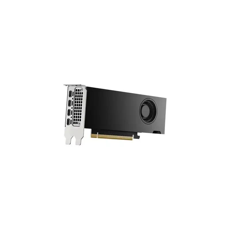 NVIDIA RTX 2000 Ada Generation - Carte graphique - NVIDIA RTX 2000 Ada - 16 Go GDDR6 - PCIe 4.0 x8 ... (DELL-M7X81)_1