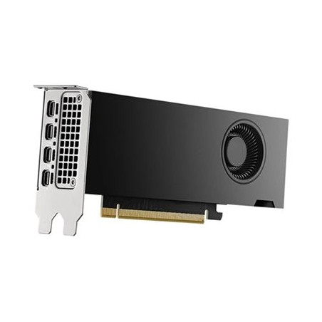 NVIDIA RTX 2000 Ada Generation - Carte graphique - NVIDIA RTX 2000 Ada - 16 Go GDDR6 - PCIe 4.0 x8 ... (DELL-M7X81)_1