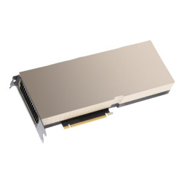 NVIDIA H100 - Processeur de calcul - NVIDIA H100 Tensor Core - 80 Go HBM3 - PCI Express 5.0 - san venti... (R9S41C)_1